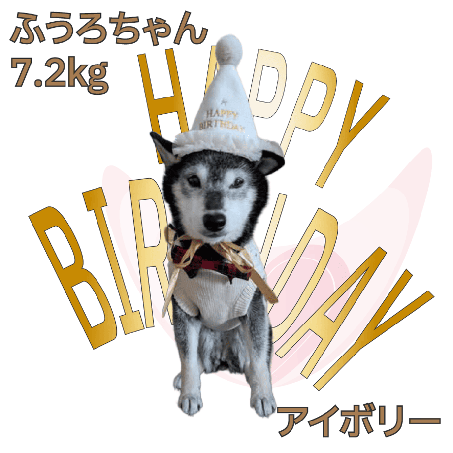 68d211af52cef968eb9ff918