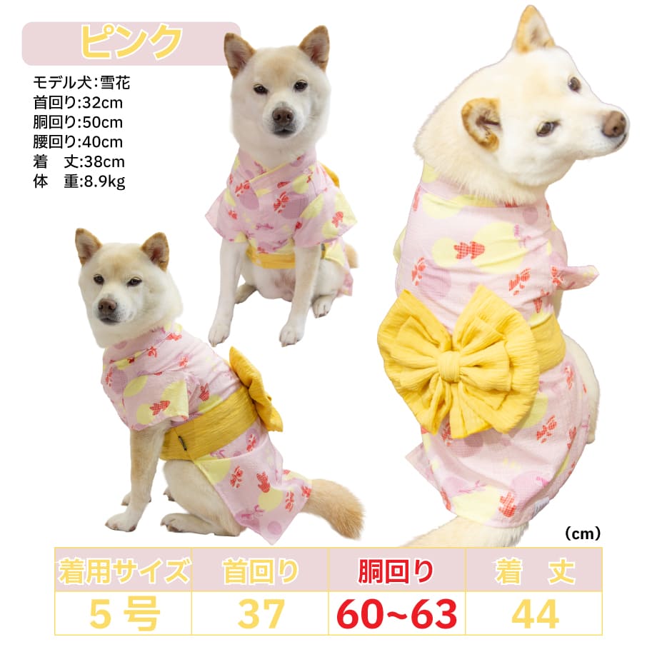 68131b8af30db232ae8042b8