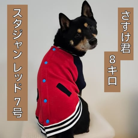 送料無料 スタジャン 4～15kg
