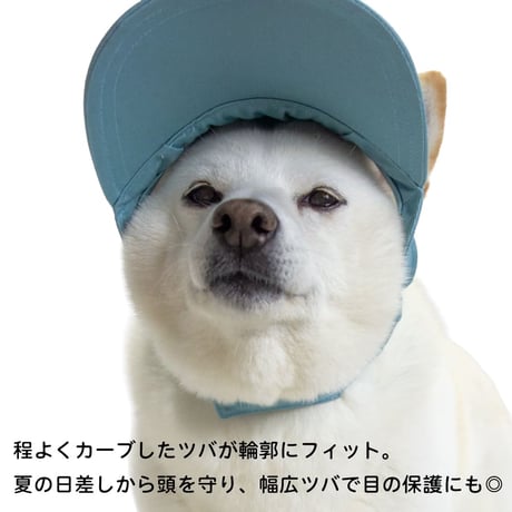 ペールトーン カラーキャップ