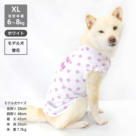 【送料無料】COOL ME ロゴプリントタンク XL 6～7.5kg 【在庫限り】