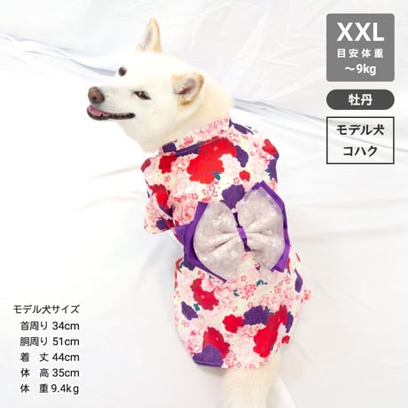 【送料無料】華やか大輪帯浴衣 XXL ～9kg【その他完売しました】