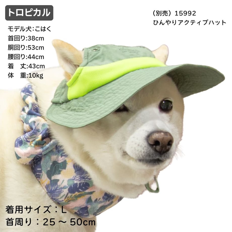 69cdeb57b45638360f1c0bdd