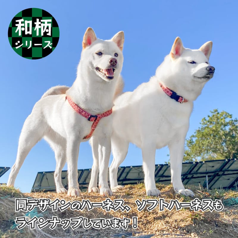 和柄カラー 小型犬・中型犬用 ～20kg 柴犬の服屋さんONE歩