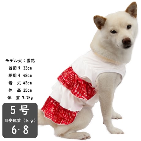 【在庫限り】クール フリルワンピ ５号 6〜8kg【6・7号完売しました】