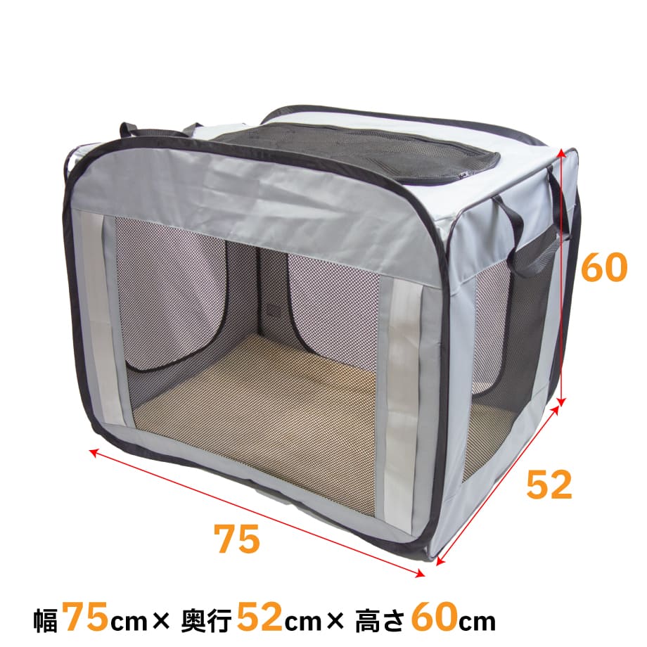 67ca7ea5b776cf93d82f1820