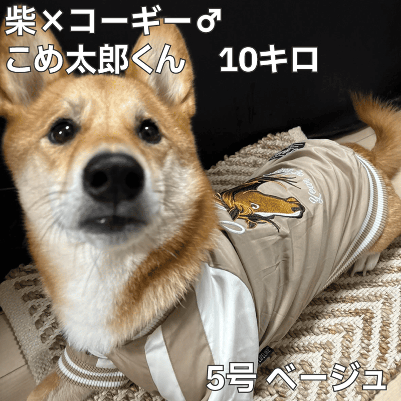 送料無料 ホーススカジャン 5号 6号 7.5〜12kg【在庫限りで終売