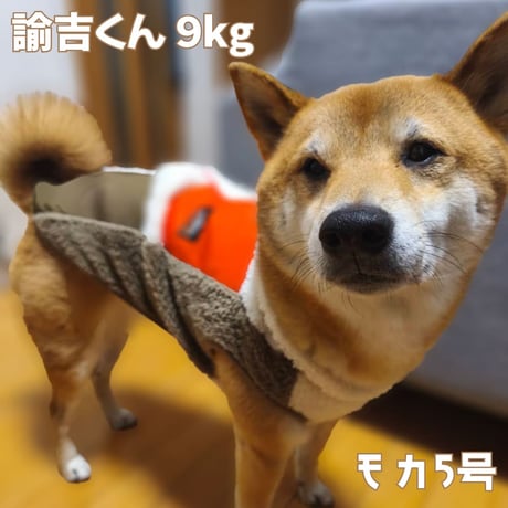 送料無料 OUTDOORカラーブロックベスト 5号 6号 8～12kg