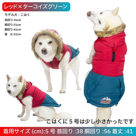 【送料無料】バイカラーハーネス 6号 8.5〜10kg 在庫限りで終売