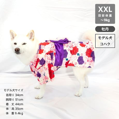 【送料無料】華やか大輪帯浴衣 XXL ～9kg【その他完売しました】