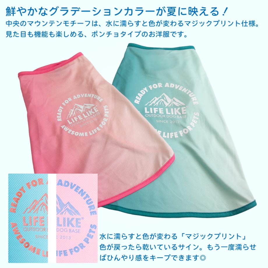 69b269ed6c682107e00f25db
