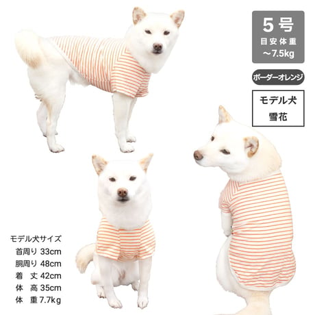 コットンTシャツ 5号・6号・7号  6.5kg～12kg