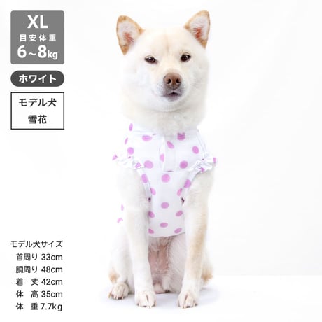 【送料無料】COOL ME ロゴプリントタンク XL 6～7.5kg 【在庫限り】