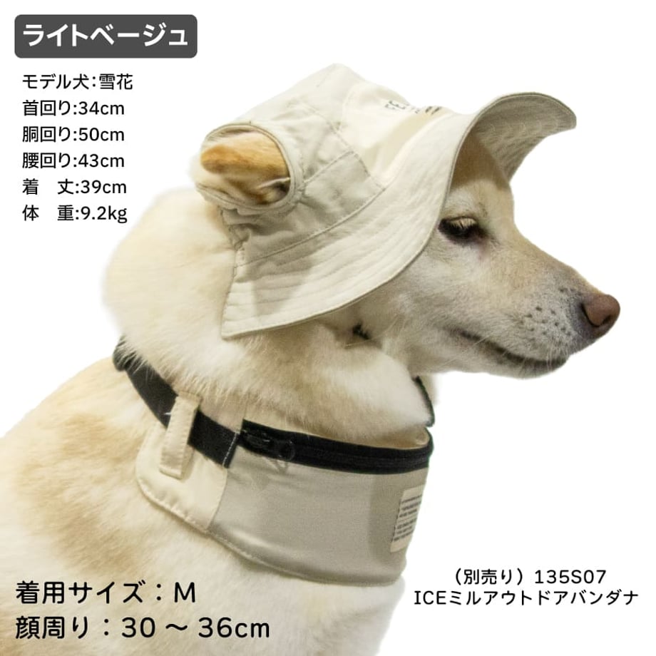 69c3891073db3d1a302eec1b