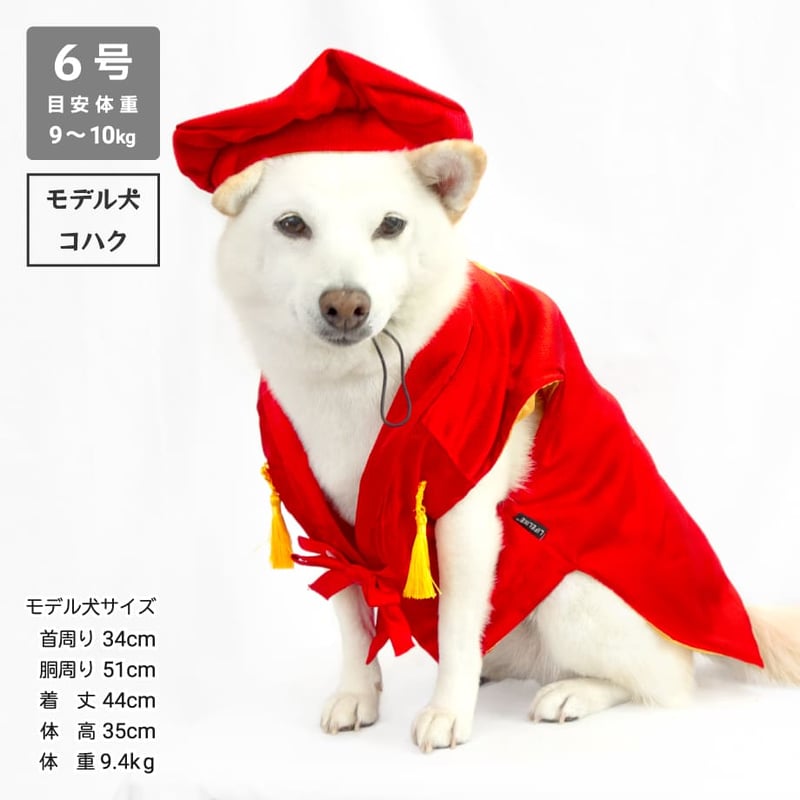 還暦お祝いセット 還暦お祝いセット 7.5～10kg | 柴犬の服屋さんONE歩