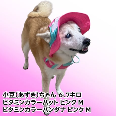 ビタミンカラーバンダナ S M L 保冷剤付き 首周り26〜46cm