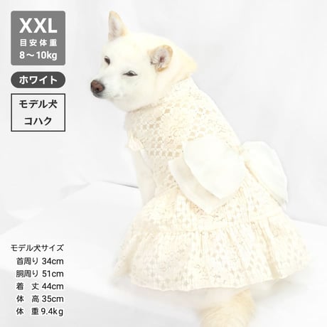 ウェディング風レースワンピ  8～10kg XL XXL【在庫限りで終売】