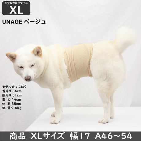 unage ウェルネス 体幹安定 温活 リラックス腹巻き 腹回り 27.5~54㎝