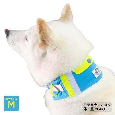 ビタミンカラーバンダナ S M L 保冷剤付き 首周り26〜46cm