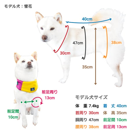 【送料無料】オルテガボアハーネス 5号 7〜9kg