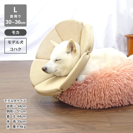 コットンワッフルエリザベスカラー 首周りM（27～31cm）L（30～36cm）