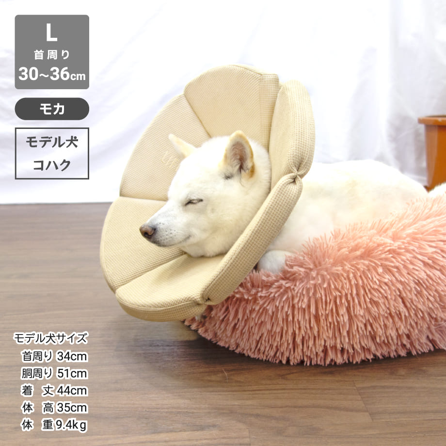 65bca0dbccd49a456676cfbf