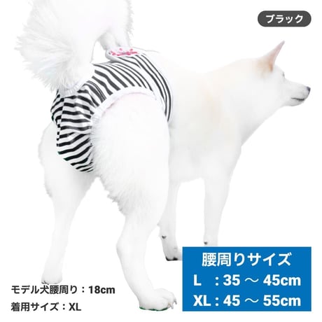 ボーダーマナーパンツ