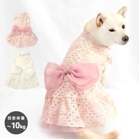ウェディング風レースワンピ  8～10kg XL XXL【在庫限りで終売】