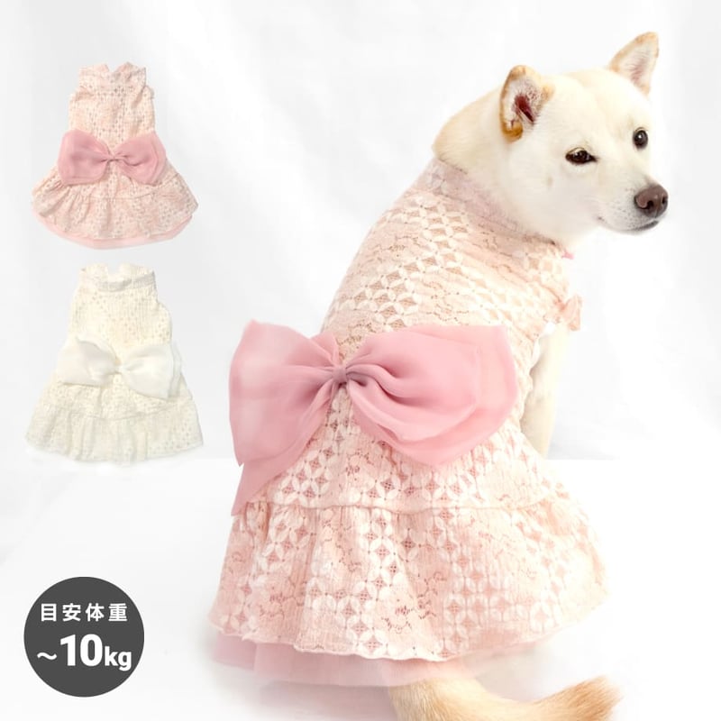 ウェディング風レースワンピ 8～10kg XL XXL | 柴犬の服屋さんONE歩