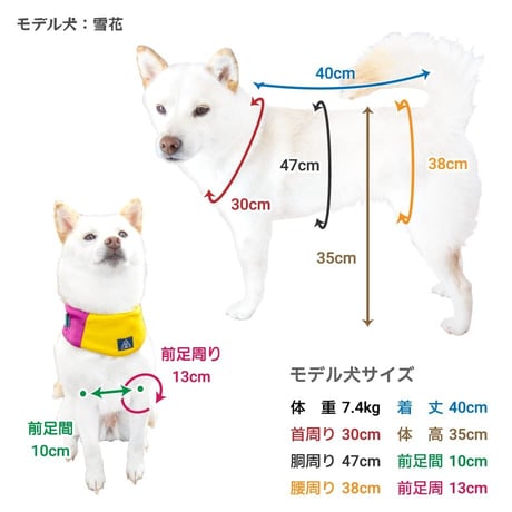 【送料無料】うさぎ晴れ着 8～10kg