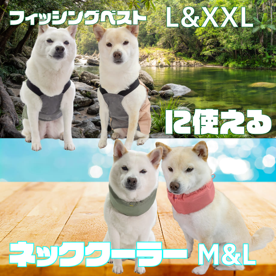 67ff1bdd20d2995e69cba035