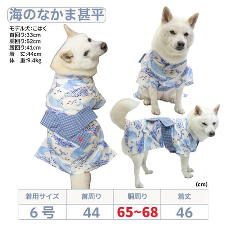 【送料無料】海のなかま甚平 ビー玉甚平 5号 6号 7〜11kg