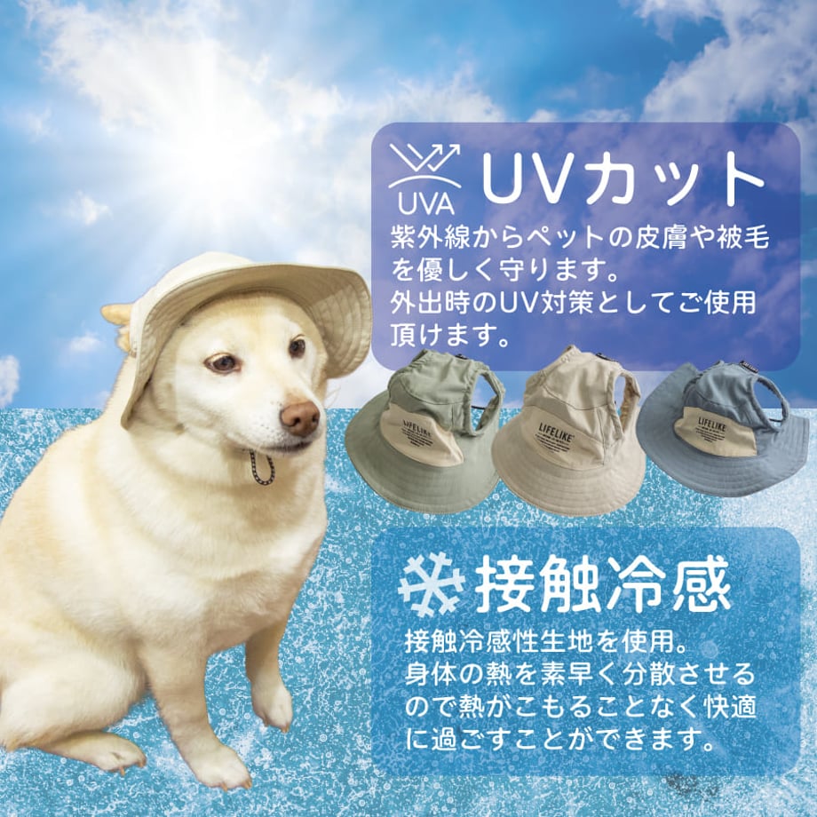 69c3891073db3d1a302eec1b