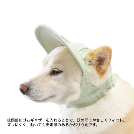 ペールトーン カラーキャップ