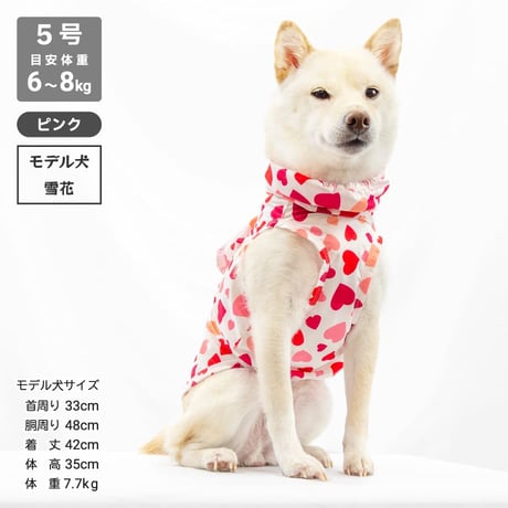 ストレッチレインコート