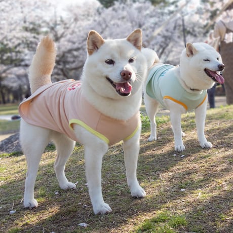 サンカラーチェンジロゴタンク 柴犬目安体重 8～12kg