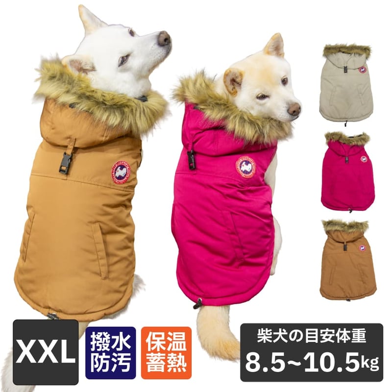 Dogs ダウン Dogs X Bad Boy - Dogs x Bad Boy ダウンジャケット | HBX