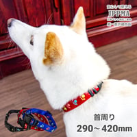 蓄光フットカラー 小型犬・中型犬用 ～20kg