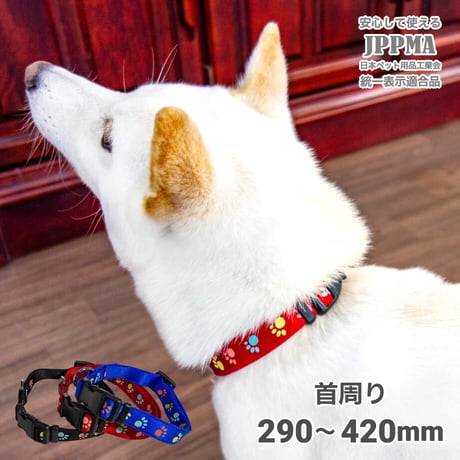 蓄光フットカラー 小型犬・中型犬用 ～20kg