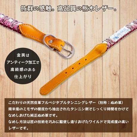 【送料無料】Gevaert×iDog 犬用首輪 MIX 在庫限りで終売