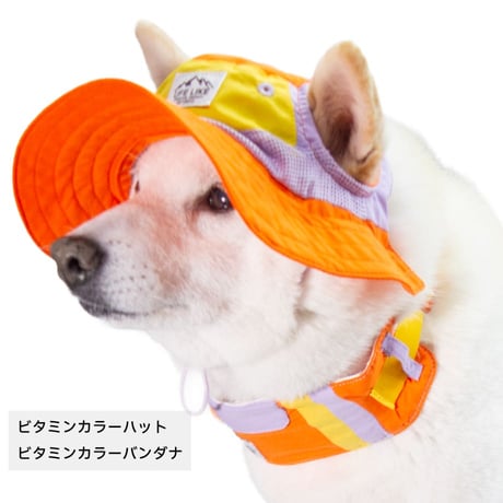 【送料無料】ビタミンカラーハット S M L XL 顔周り24〜56cm