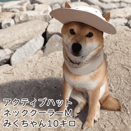 クールネッククーラー M L 首周り〜59cm