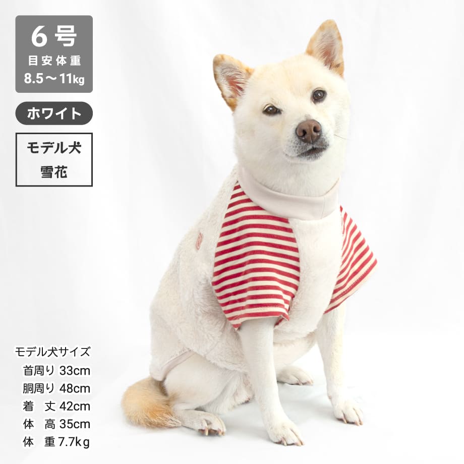 6556bbcde99ff9002c4c07a5