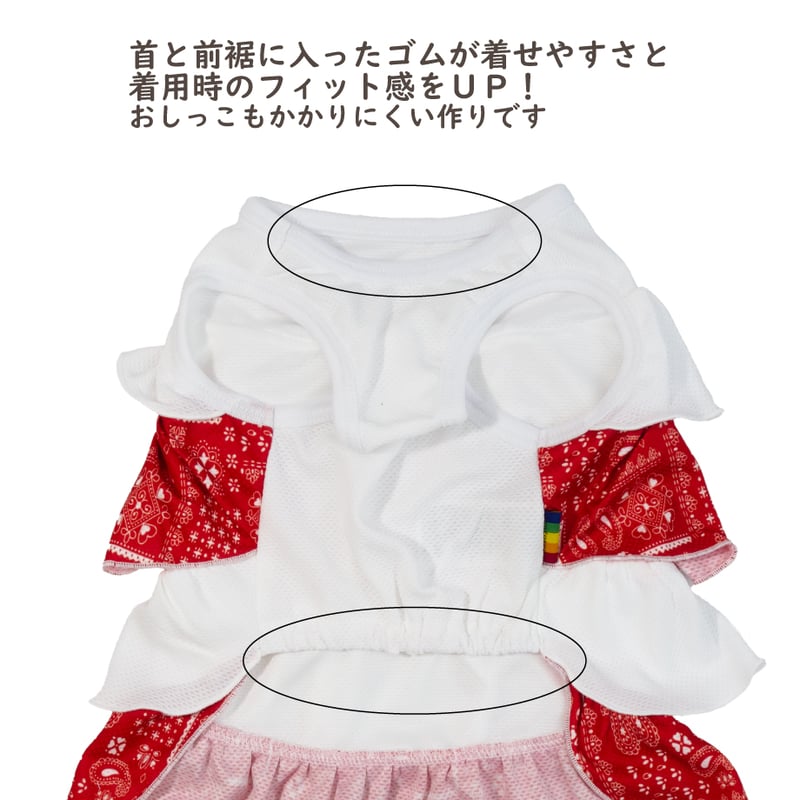 在庫限り】クール フリルワンピ 5・6号 6〜10kg【7号完売しました