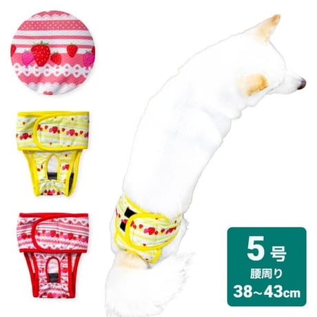 サニタリーベルトパンツ レースストロベリー 5号 腰周り38～43cm