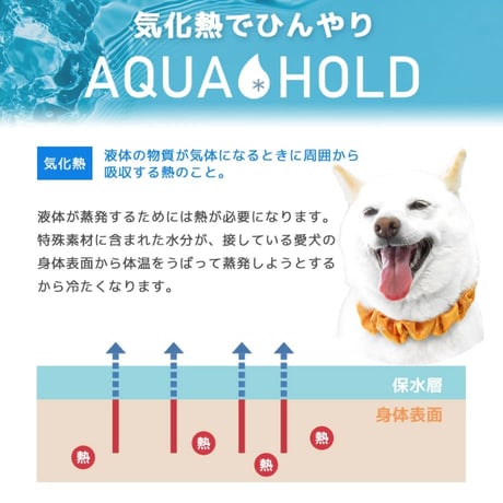 AQUA HOLD ひんやりシュシュ 首周り29～36cm