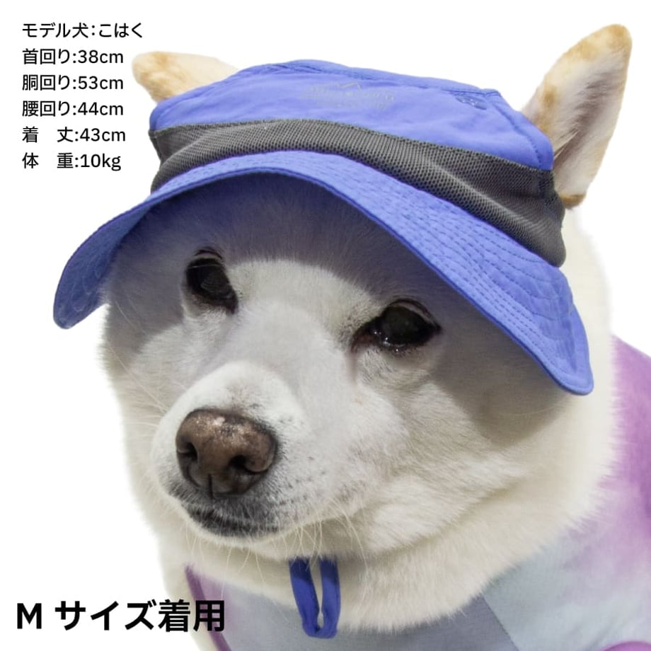 69ab79950359455621f0171d