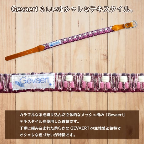 【送料無料】Gevaert×iDog 犬用首輪 MIX 在庫限りで終売