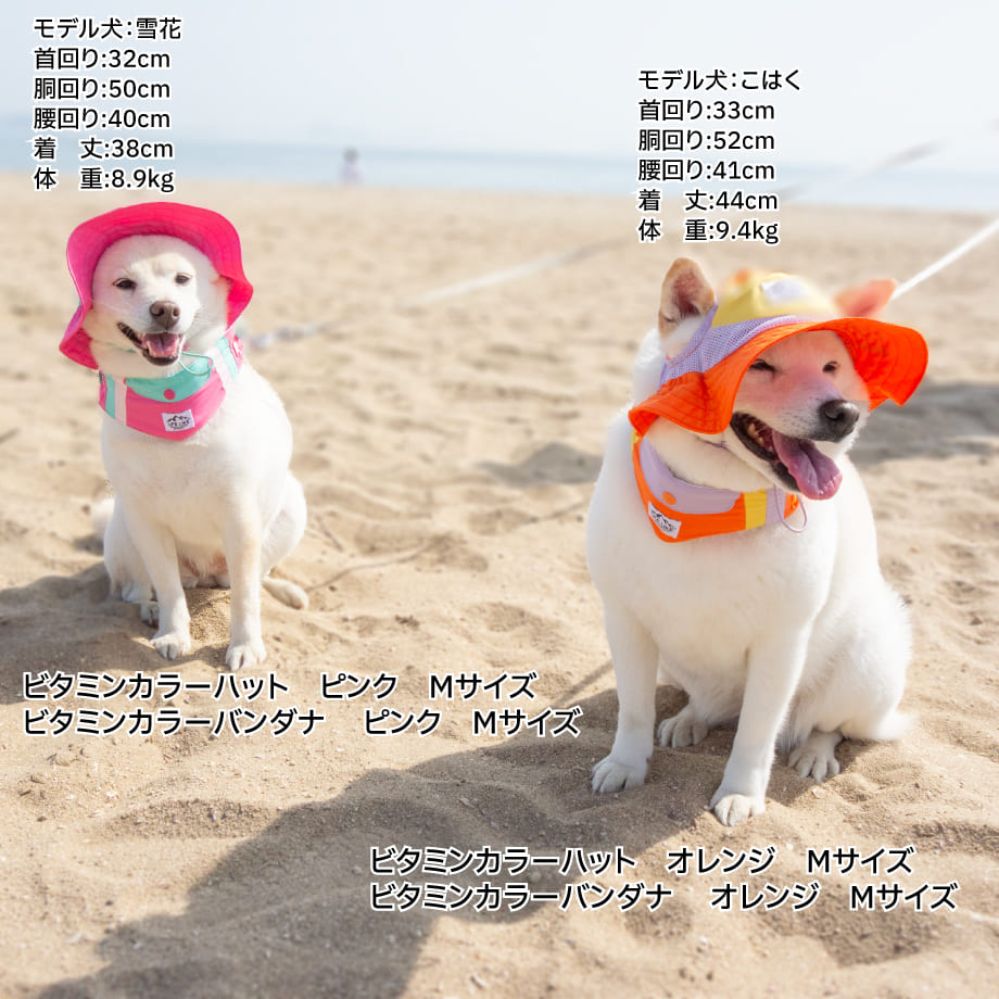 67f9cb42c82327f9334db6fa