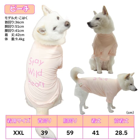 COOL+MOSCAPE ロゴプリントメッシュTシャツ XXL ～10kg 在庫限りで終売